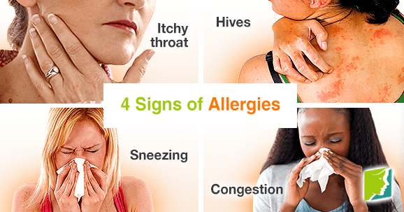 breathe-green-dust-mite-fighter-allergy