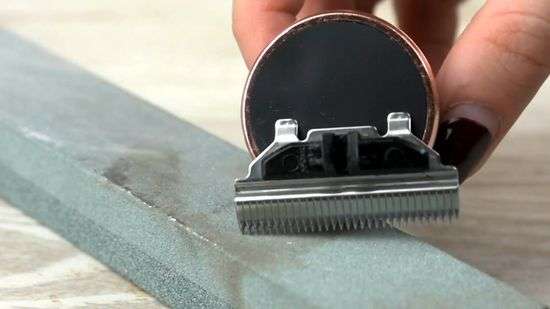 How-to-Sharpen-Clipper-Bladess