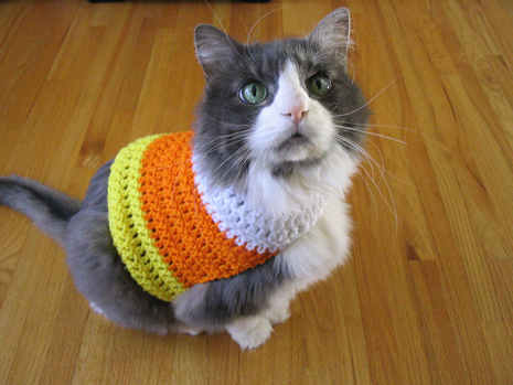 Candy-Corn-Pet-Sweater
