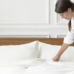 Bed Bunny Sheets Reviews 2026